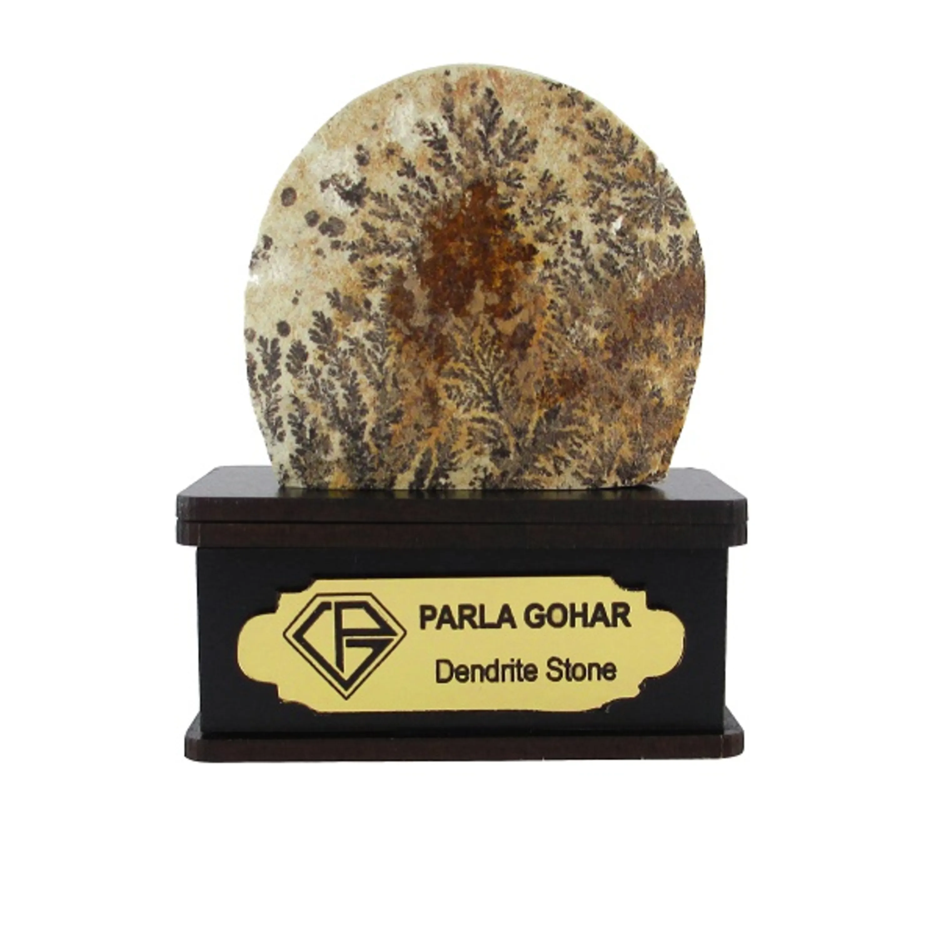 شجر راف کد 2342